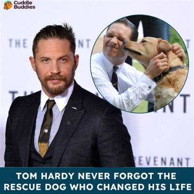 Tom Hardy & His Rescue Dog Woodstock Star in a Peta ‘Adoption Is Love’ Ad