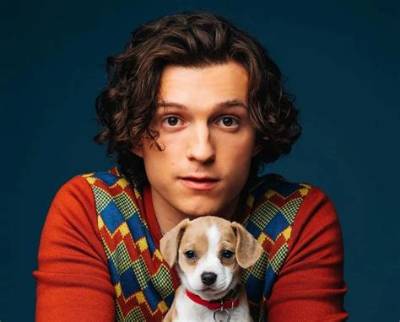 Tom Holland Pets - Celebrity Pets