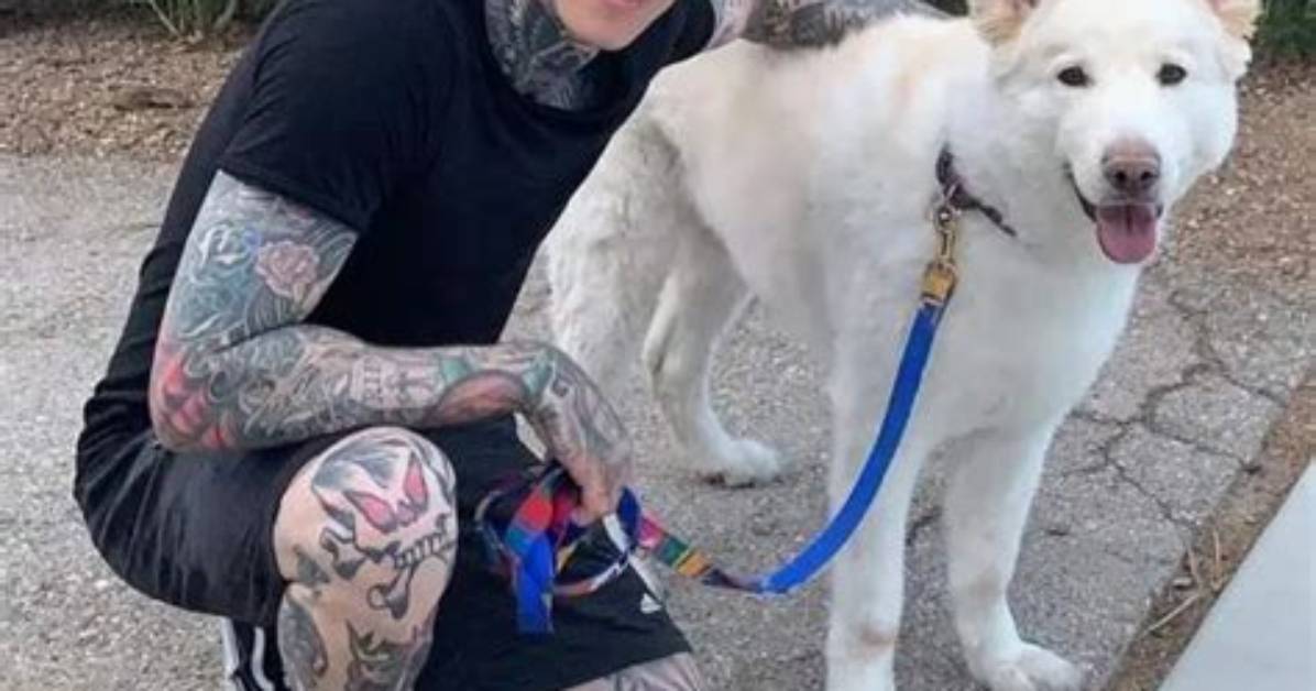 Trace Cyrus Pets - Celebrity Pets