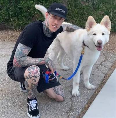 Trace Cyrus Pets - Celebrity Pets