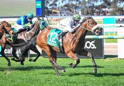 Vegas Showgirl Horse Death Cause and Accident, Win’x Mother Died