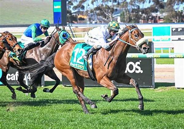 Vegas Showgirl Horse Death Cause and Accident, Win’x Mother Died