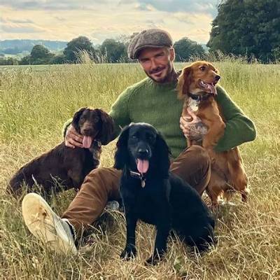 Victoria Beckham Pets - Celebrity Pets