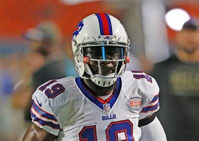 Was Wr Mike Williams Gay? Sexuality and Gender Debunked