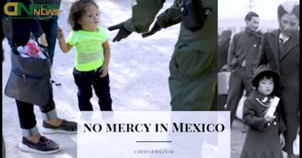 Watch No Mercy in Mexico Video Goes Viral on Twitter, Reddit