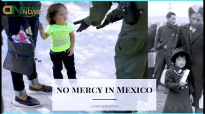 Watch No Mercy in Mexico Video Goes Viral on Twitter, Reddit