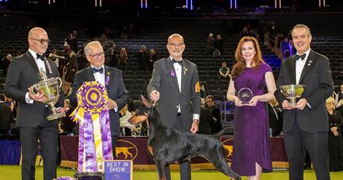 Westminster’s Best in Show Dog Sky Is Now a Celebrity!