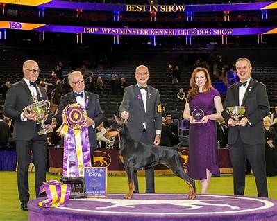 Westminster’s Best in Show Dog Sky Is Now a Celebrity!
