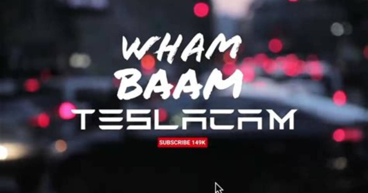 Wham Baam Teslacam Youtuber Overview