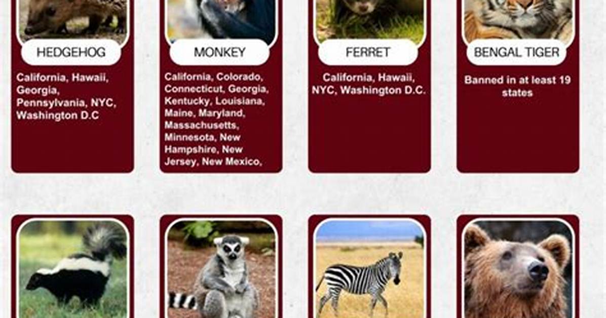 What Animals Are Illegal to Own in Tennessee?