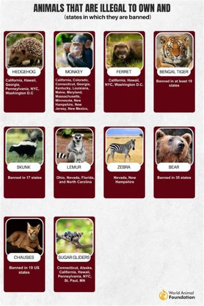 What Animals Are Illegal to Own in Tennessee?