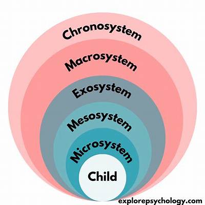 What Are the Five Ecological Systems?
