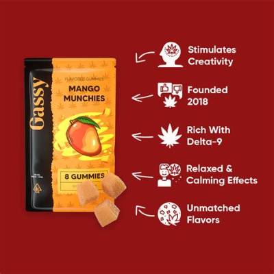 What Are the Gassy Gummies & Did Durte Dom Tesla Crash Resulted from Narcotics?
