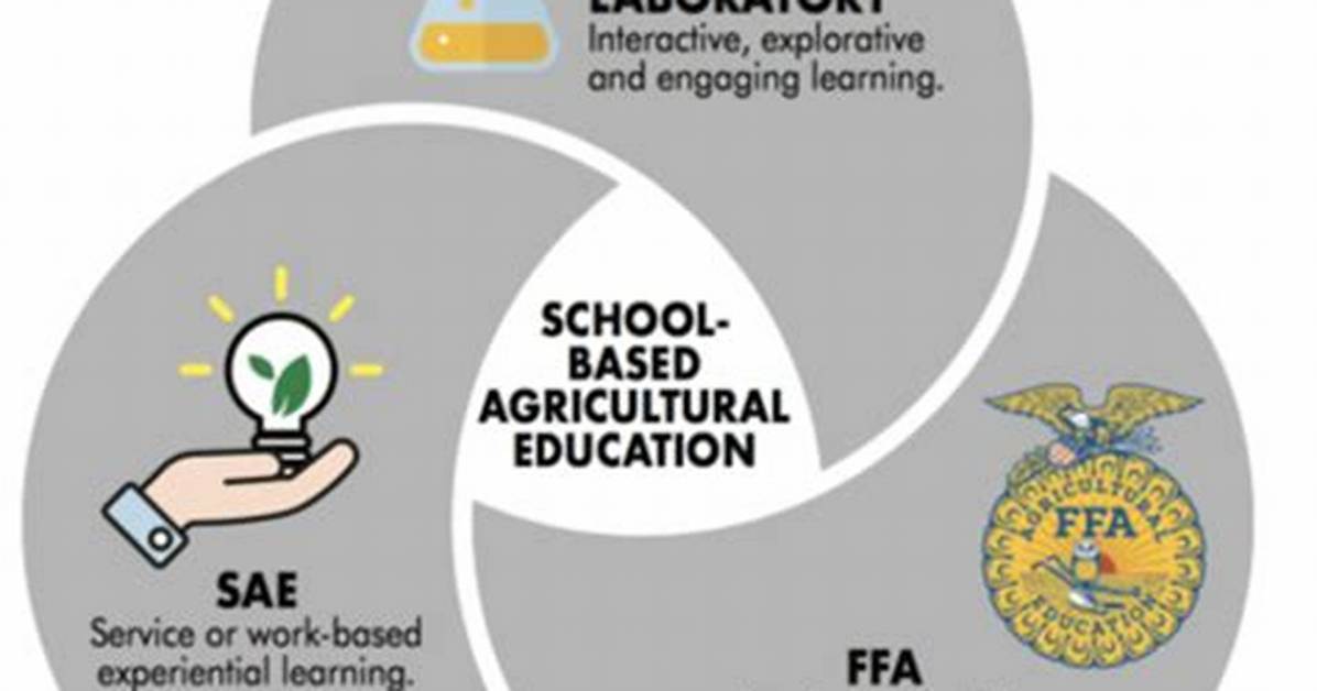 What Are Three Ffa Strategies?