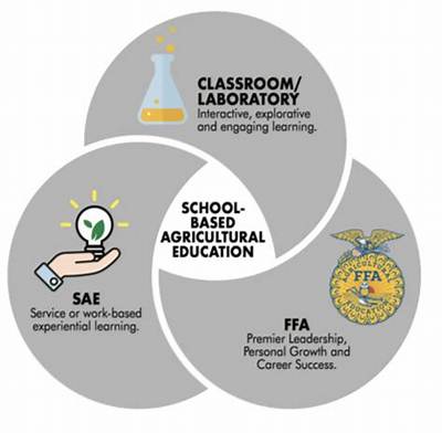 What Are Three Ffa Strategies?