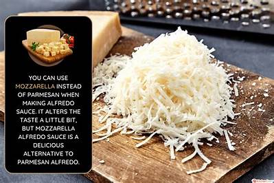 What Can I Use Instead of Mozzarella Cheese?