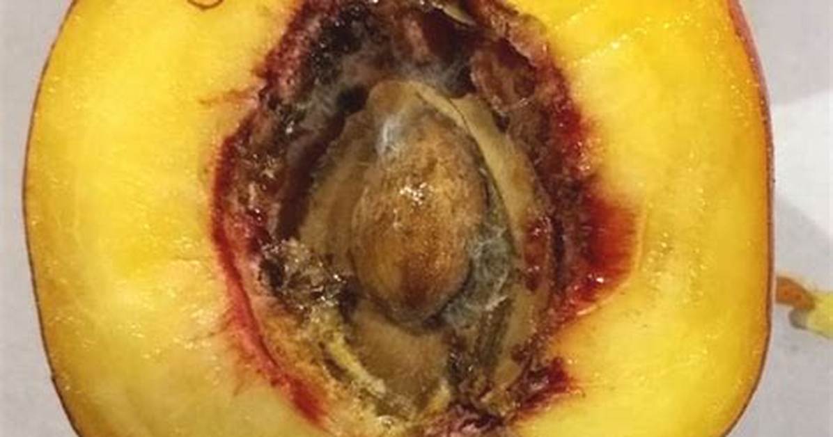 What Causes Peaches to Split?