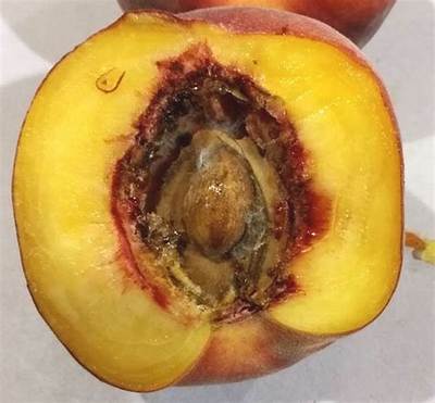 What Causes Peaches to Split?