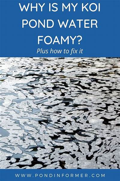 What Causes Pond Water to Foam?