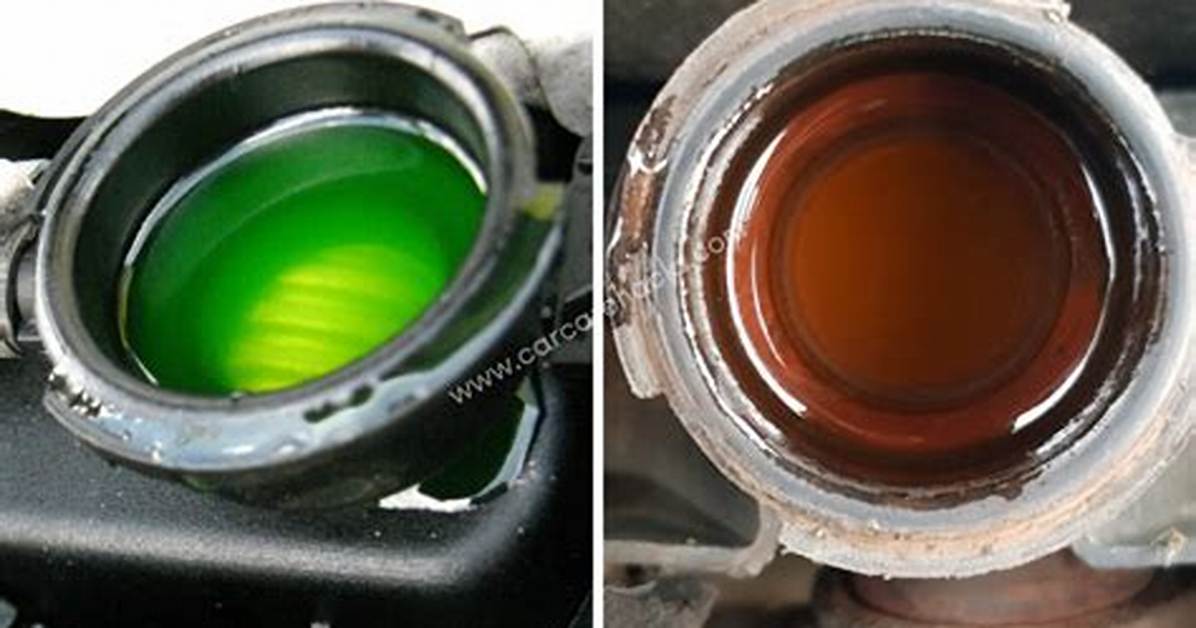 What Color Coolant Does Lexus Use?