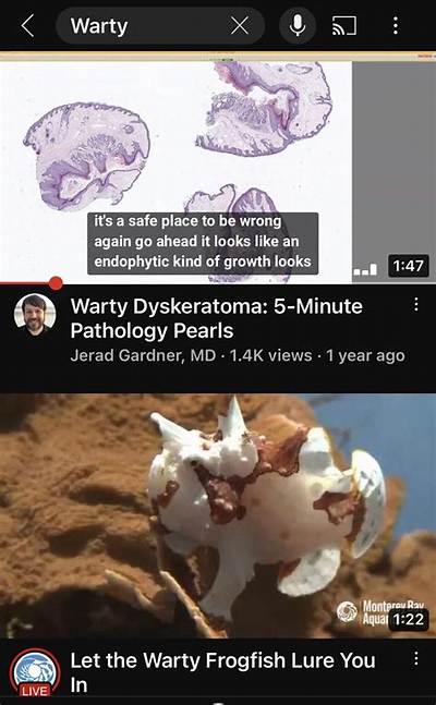 What Do You Do with a Warty Pumpkin?