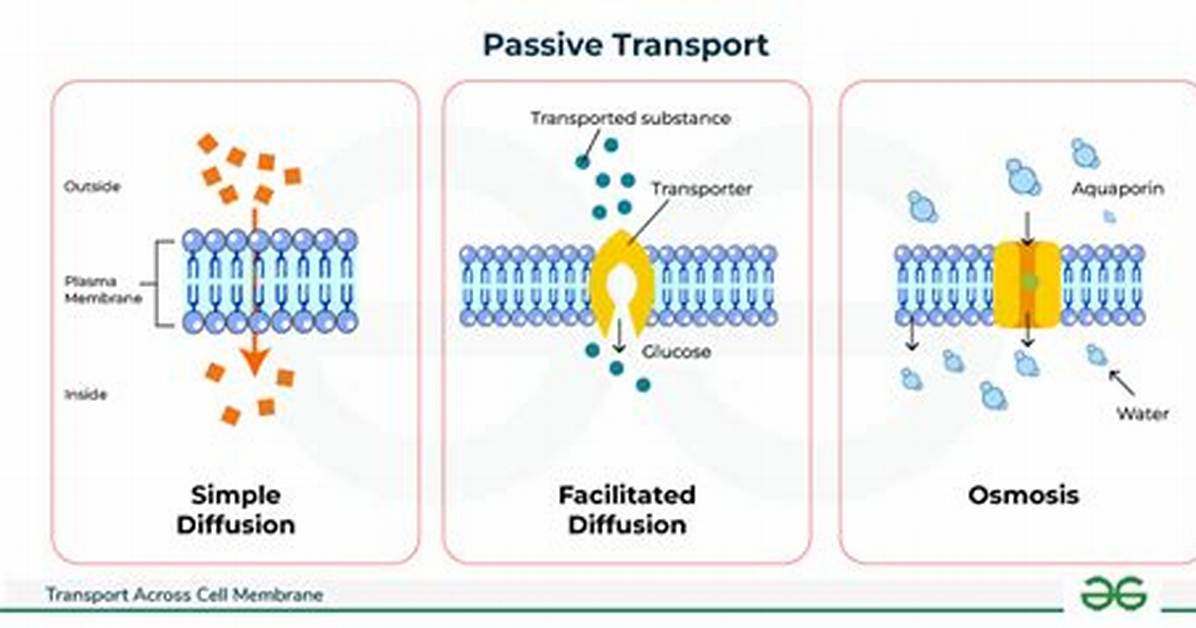 What Do You Mean by Mediated Transport?