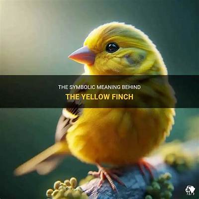 What Does a Yellow Finch Symbolize?