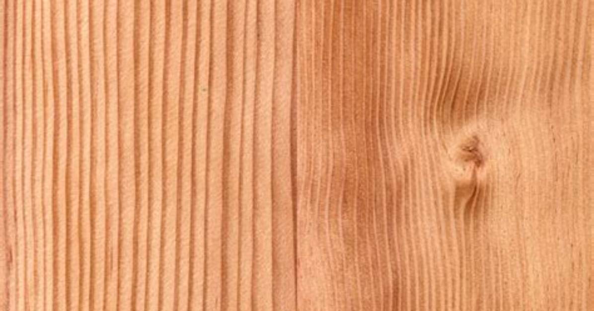 What Does Fir Wood Grain Look Like?