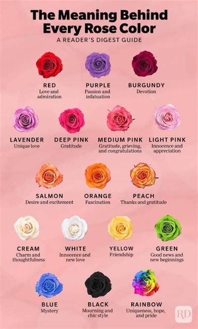 What Does the Brown Rose Mean?