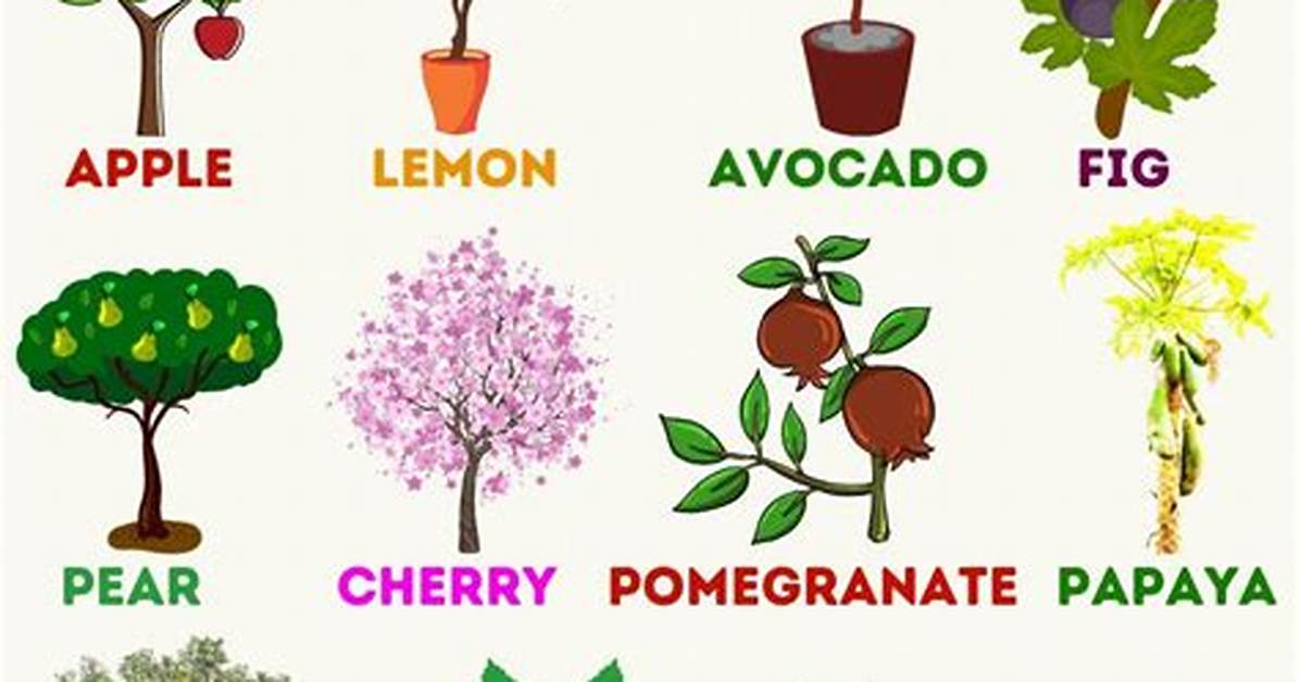 What Fruit Does Not Grow on Trees?