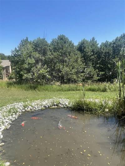 What Is a Spring Fed Pond?