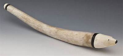 What Is a Walrus Oosik?