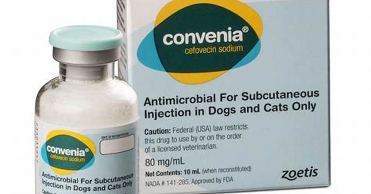 What Is Convenia Injection for?