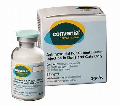 What Is Convenia Injection for?