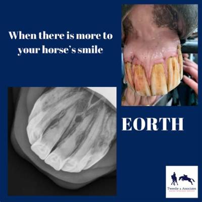 What Is Eorth Horse?