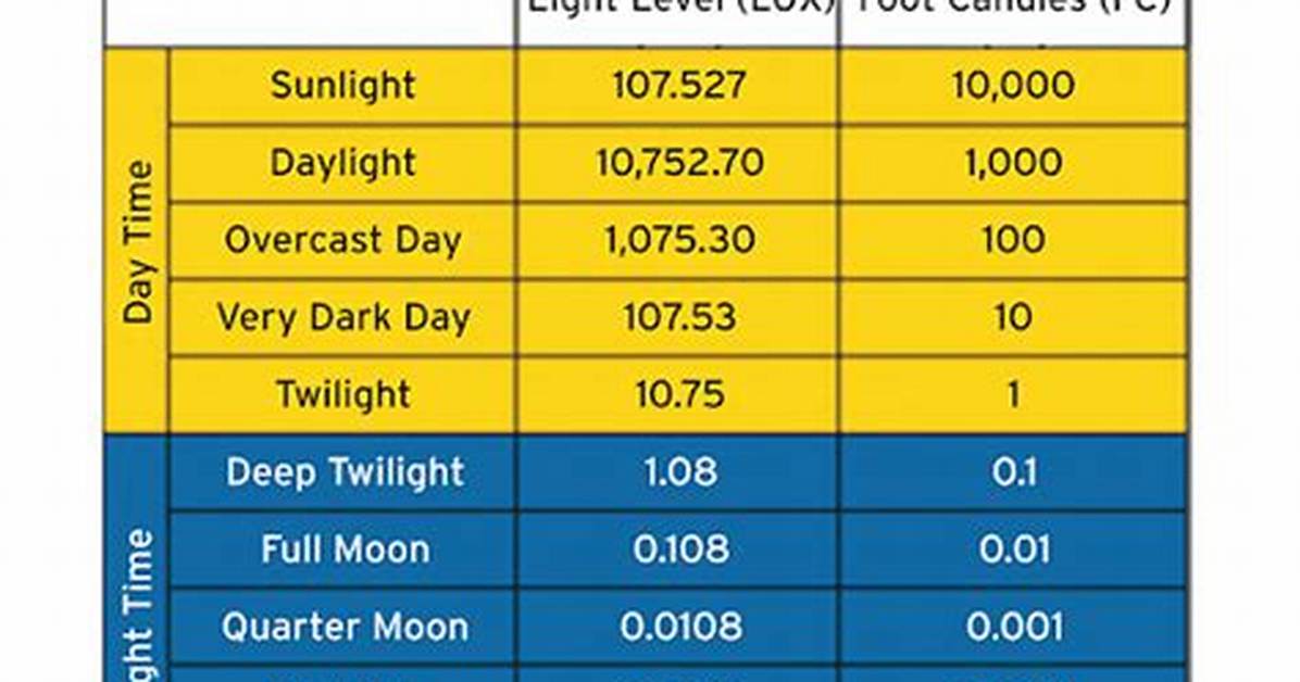 What Is Lux on a Security Light?