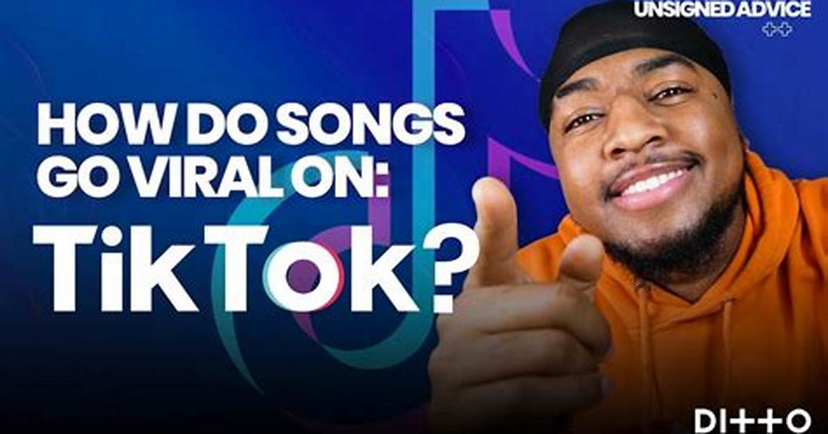 What Is Make It Stop Tiktok Song All About? Make It Stop Lyrics How Is It Done?
