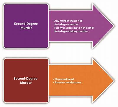 What Is Second-Degree Murder in Tennessee, According to the Tyre Nichols Case?