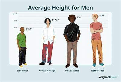 What Is the Average Height of a Pot Filler?