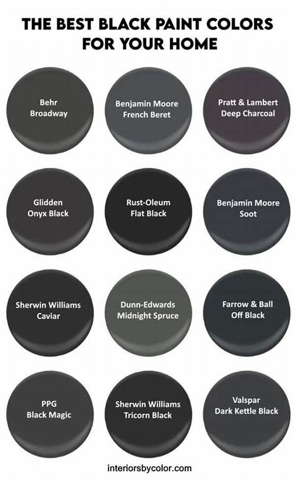 What Is the Best Black Paint for Front Door?