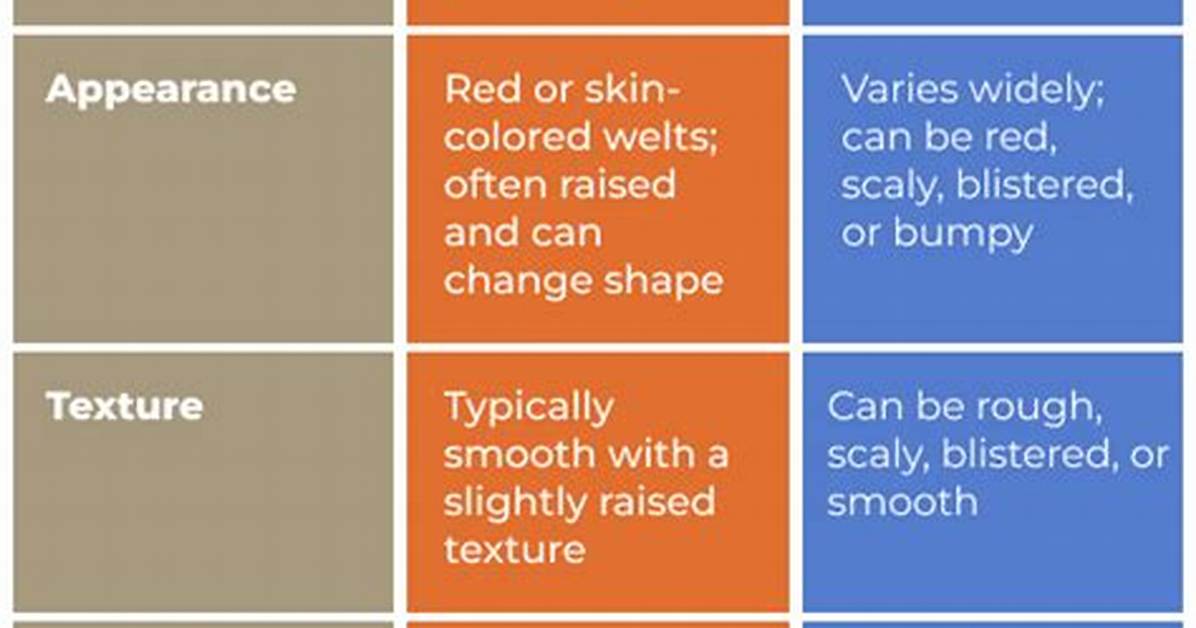What Is the Difference Between a Rash Guard and a Swim Shirt?