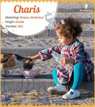 What Is the Meaning of Charis in the Bible?