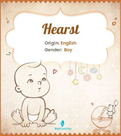 What Is the Meaning of Hearst?