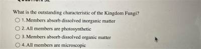 What Is the Outstanding Characteristic of Kingdom Fungi?
