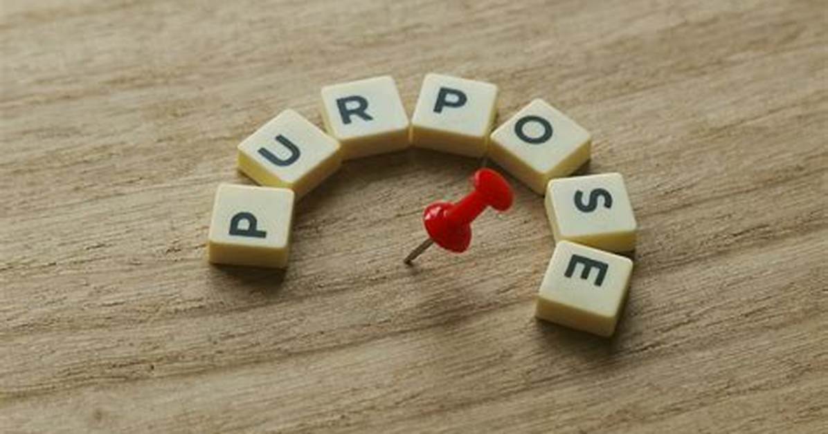 What Is the Primary Purpose of the Tort Law?