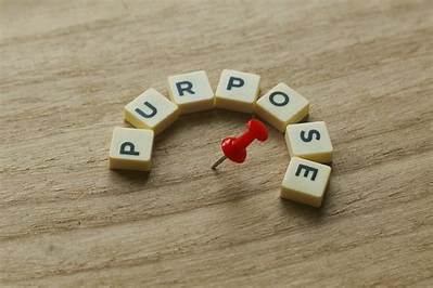 What Is the Primary Purpose of the Tort Law?