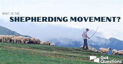 What Is the Shepherding Movement?