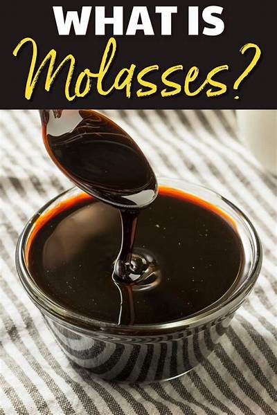What Is the Significance of the Molasses Act?