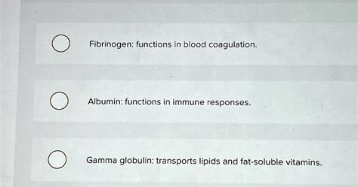 What Protein Transports Lipids in the Blood?
