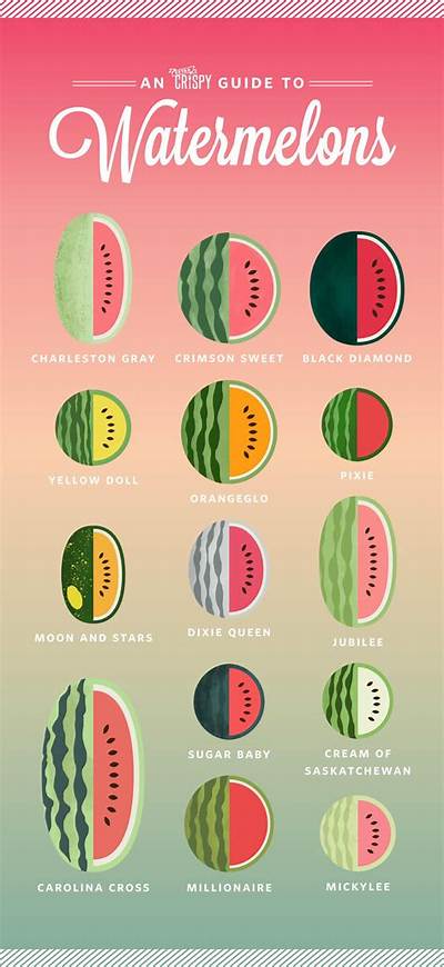 What Should I Name My Watermelon?